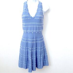 Parker, Dress Blue and White, Pleated V-Neck Blue and White Striped Dress